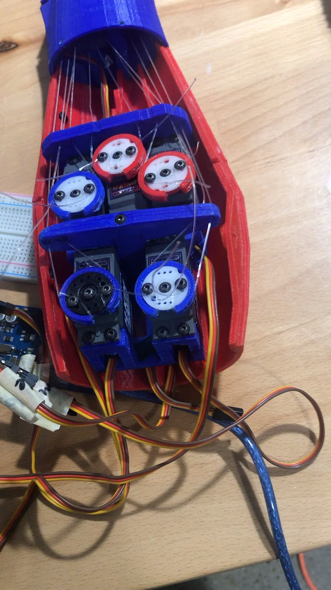 Servos en antebrazo