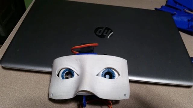 Calibración de ojos
